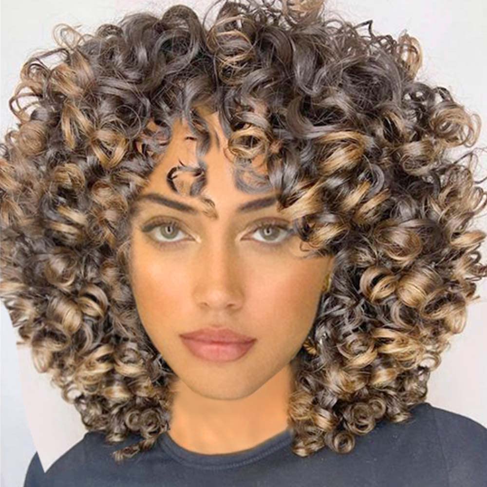 Short Fluffy Curly Wig Synthetic Wig Soft Black Wig