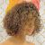 Short Curly Bob Wig Highlight Honey Blonde Lace Front Wig