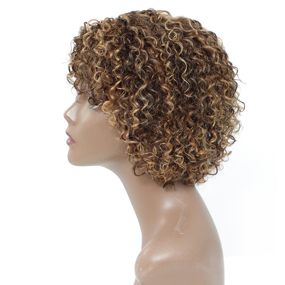 Wigs for Black Women 8 Inch Short Curly Wigs Brazilian Human Hair Curly Wigs Kinky Curly Wigs