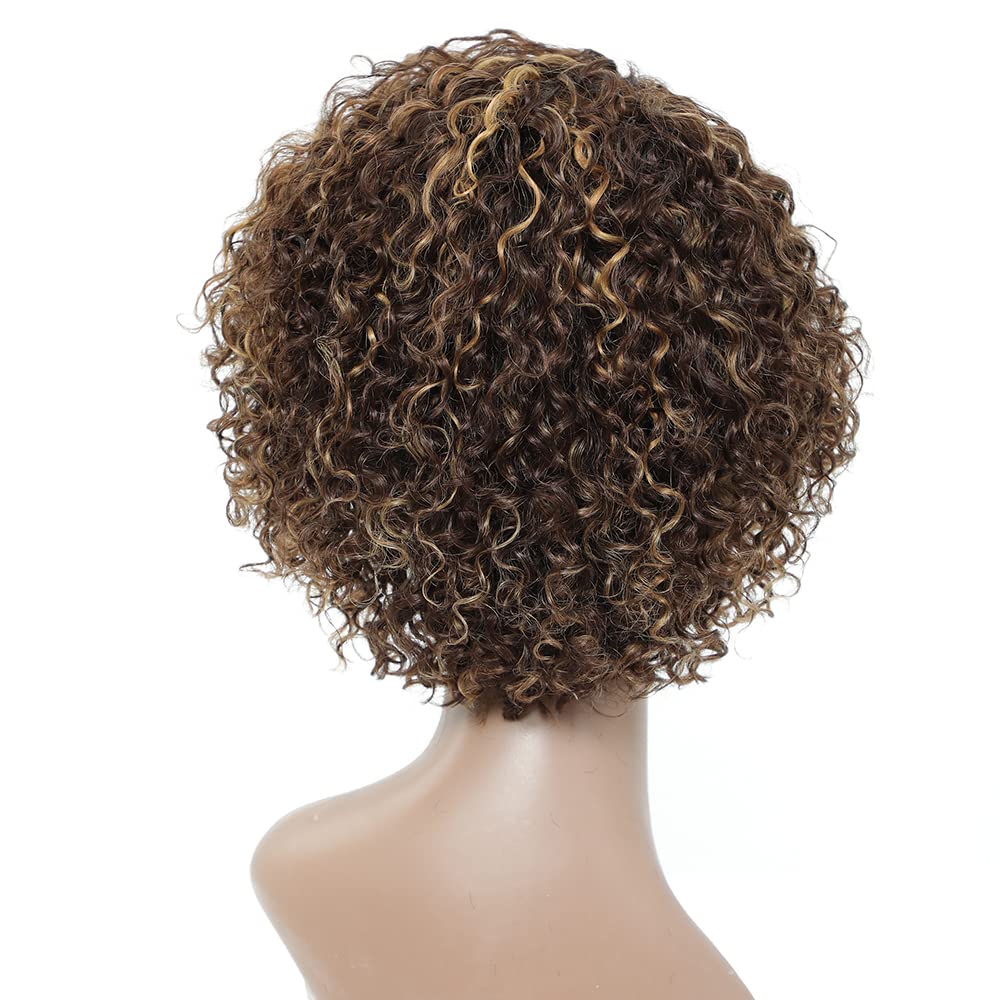 Wigs for Black Women 8 Inch Short Curly Wigs Brazilian Human Hair Curly Wigs Kinky Curly Wigs