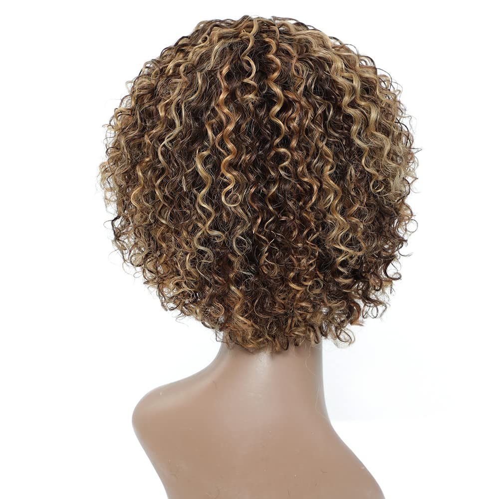 Wigs for Black Women 8 Inch Short Curly Wigs Brazilian Human Hair Curly Wigs Kinky Curly Wigs