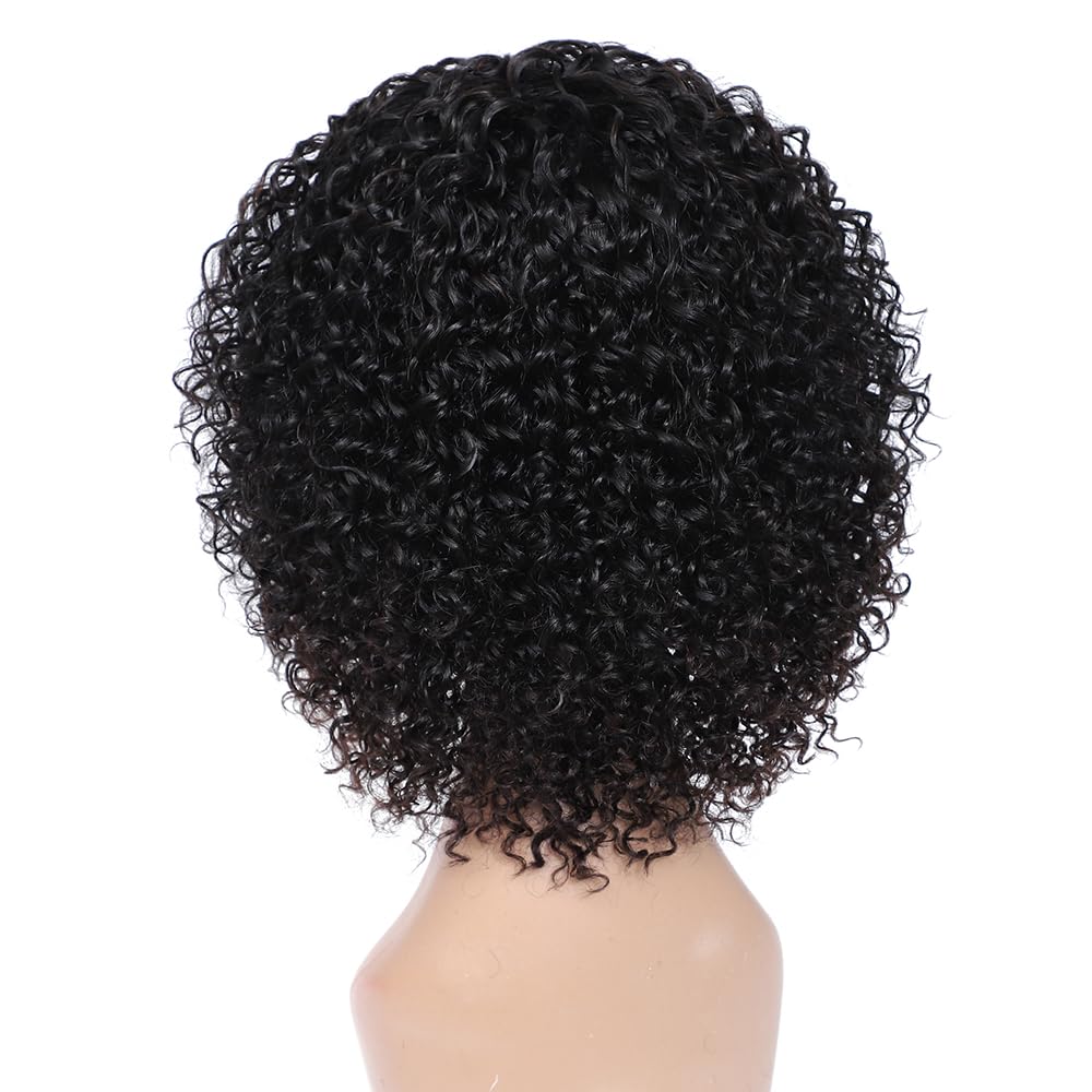 Wigs for Black Women 8 Inch Short Curly Wigs Brazilian Human Hair Curly Wigs Kinky Curly Wigs