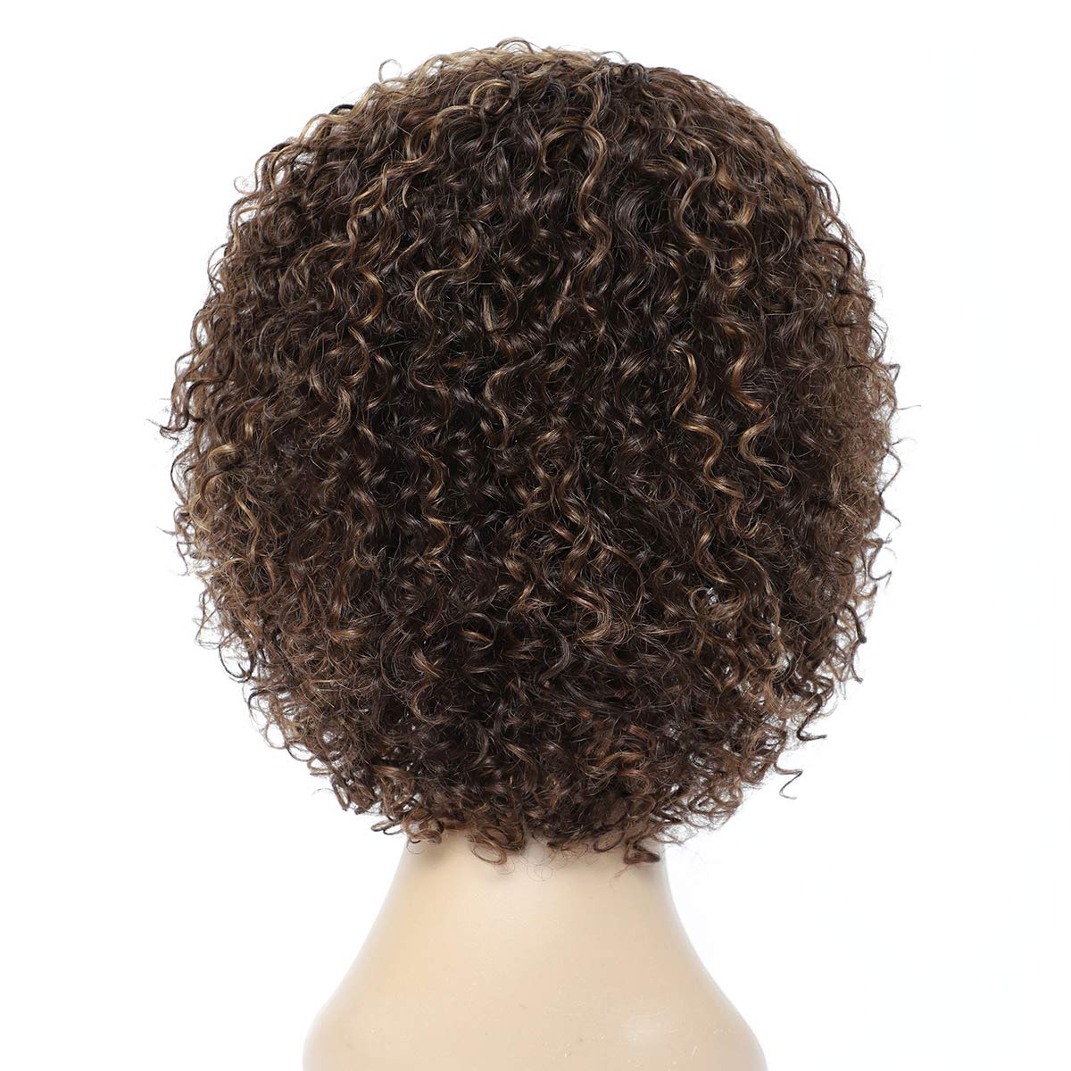 Wigs for Black Women 8 Inch Short Curly Wigs Brazilian Human Hair Curly Wigs Kinky Curly Wigs