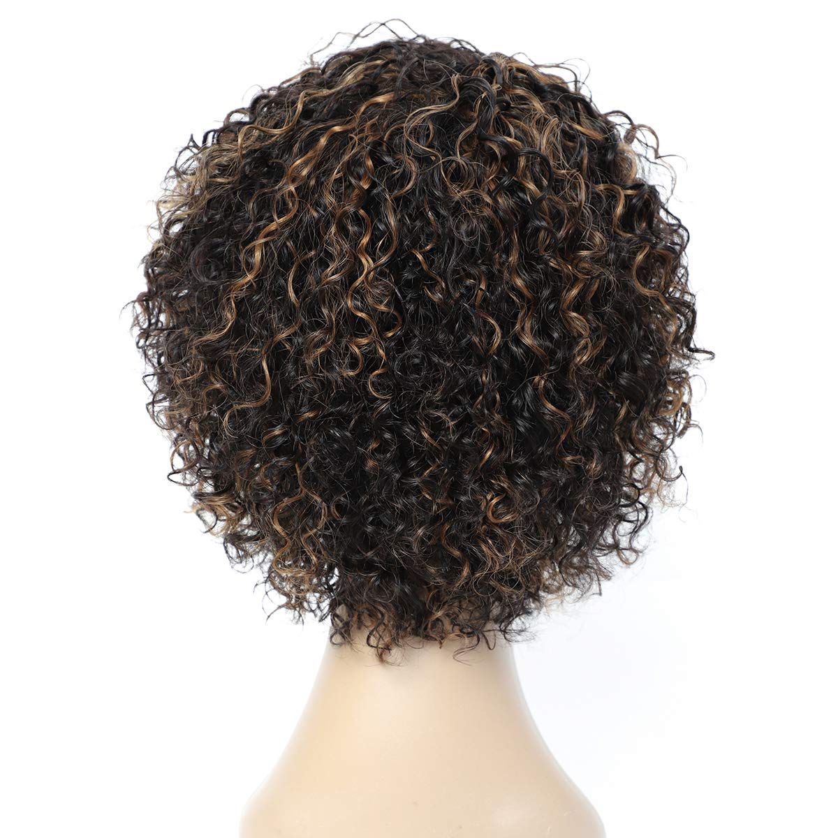 Wigs for Black Women 8 Inch Short Curly Wigs Brazilian Human Hair Curly Wigs Kinky Curly Wigs